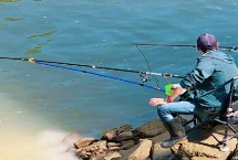 红虫拉饵适用季节，拉饵是台湾钓鱼技法