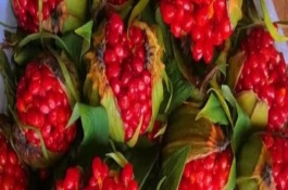 七叶一枝花几月种植，售价因地而异