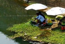 红虫野钓调漂调几钓几，得综合考虑鱼情、水情和季节