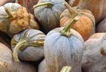 南瓜快速去皮方法，可分层贮藏于木架上