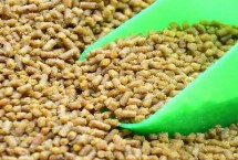 冬天饲养画眉鸟的注意事项，配料包括豌豆粉、枸杞、黄豆粉、山楂等材料