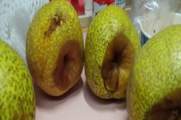 梨怎么看熟没熟，一般不宜再食用