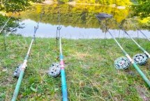 谷麦竿十大品牌排行，包括迪佳、达亿瓦、光威等著名品牌