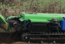 夏季果园防旱方法，容易产生许多弊端