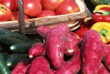 不要在底肥中连续施用，这四点要牢记