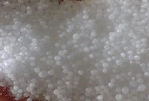 氮肥是什么肥料，是一种以氮元素为主要成分的化肥