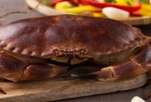 面包蟹是淡水还是海水蟹，产地、外形和价格均不同