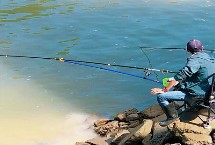 马口鱼的生活习性，首选钓点为入水口、出水口