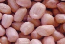 南阳市去壳花生的价格，各县区的售价会上下浮动