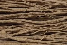 党参冬天有叶子吗，每个产地的生产品种不一样