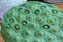 采莲子是什么季节，通常7-8月开始成熟