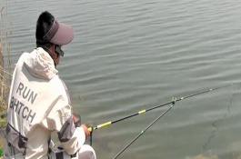 鲢鳙的摄食习性，钓位要选择顺风或偏风的地方