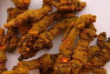 农村热门的药材种植项目，包括黄连、菟丝子、甘草等种类