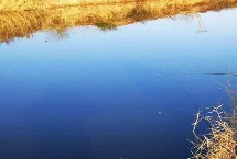 初冬钓鱼不开口的原因，天气不好或钓点不适都会导致