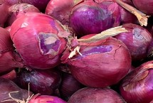 种植洋葱的注意事项，低温环境可延长储存期