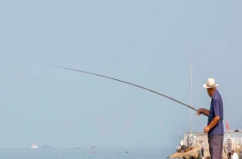 自己买的海钓船能出海钓鱼吗，可选择动物饵料或植物饵料等