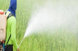 什么温度不能喷农药，会导致杀虫效果差且药效低