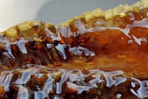 枣花蜜属于凉性还是热性食物，属于偏热性的蜂蜜