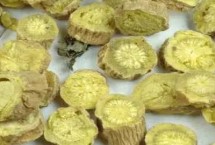 黄芩的生长习性，黄芩属于唇形科、黄芪属于豆科