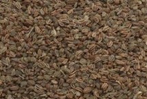 芹菜催芽需在什么温度需几天，先将种子放置在太阳下暴晒一天