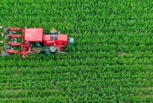 农村种植业未来发展趋势，丘陵地区更容易向现代林果业发展