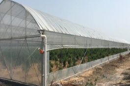 大棚降温的最佳方案，根据天气状况控制放风口的宽度