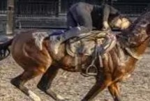 汗血宝马介绍，其祖先是生长在戈壁地带的野马