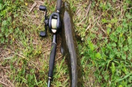 雨天能否用路亚竿垂钓黑鱼，用7-9米的长竿比较合适