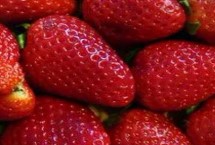 草莓没洗能吃吗，一般用淡盐水浸泡