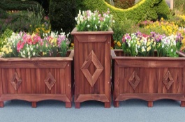 泡沫箱可以种花吗，需要注意虫害防治