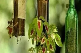花盆的分类，瓷器的玻璃的都适用