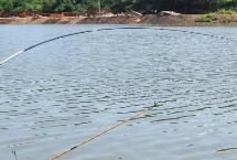 化氏，这6个牌子质量好