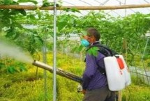 百香果施肥方案，可通过翻耕清园消灭越冬成虫