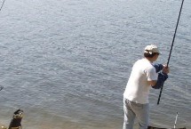 摄食习性，夏季、初秋等气温高的晚上是作钓的黄金时间