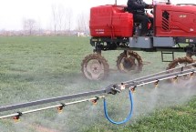 复合肥烧根吗，使用不当会烧根