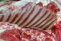 陕西有哪些羊种，不同品种价格不同