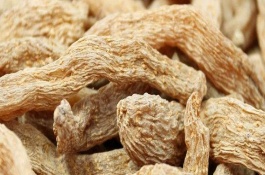 对天麻进行人工授粉要注意什么，当地的气候满足条件才能种植