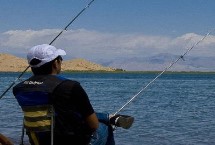 鲤鱼草鱼吃蚯蚓吗，“万能饵料”该怎么避免这种情况