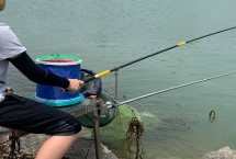 0.8子线配几号主线，适合5斤内的小个体鱼