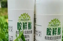 胺鲜酯和芸苔素的区别，没有控旺作用