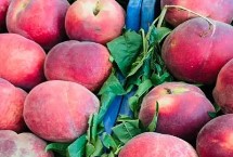 河南鲁山县的特产，张良姜种植历史悠久