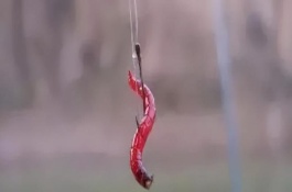 调漂原理，调漂时一般都是调灵钓钝