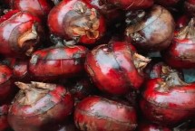 马蹄可以做成哪些美食，可用来制做马碲猪肉丸、马碲炒虾仁等食物