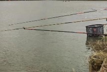 夜光漂变色可以提竿吗，最常见的是小鱼闹窝