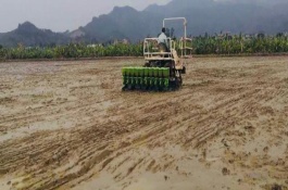 水稻进入齐穗期什么时候打药好，一般要经过2-4天左右