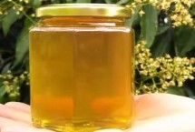 荔枝蜂蜜的真假鉴别，一般30-50元一斤