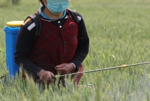 农药毒性分类和应用标准，未做好防护措施容易中毒