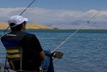 台钓竿的价格，台钓竿的手感、受力性能比溪流竿更好