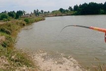 谷麦钓法介绍，陡坡下的坎位、密林边的回水湾均为理想窝点