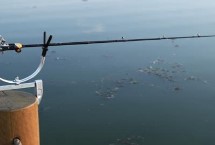 降龙，看看这6款